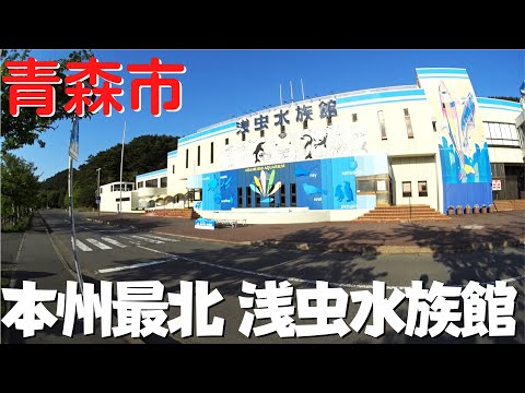 【青森市の観光】 本州最北端 青森県営浅虫水族館を散策 イルカとペンギンに癒される幻想的な水中世界【青森県青森市】