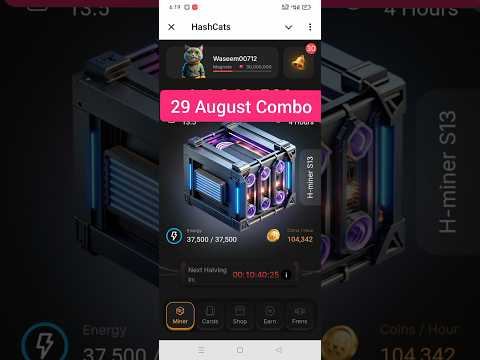 Hashcats combo today 29 august | hashcats combo cards | hashcats staking cipher | staking code