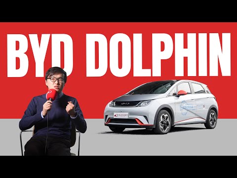 It Destroyed Honda Fit and VW Polo in China - BYD Dolphin Review