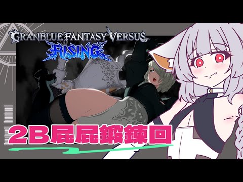 【GBVSR】新角色2B開發的日子/法環跟任天堂遊戲快訊｜Granblue Fantasy Versus: Rising