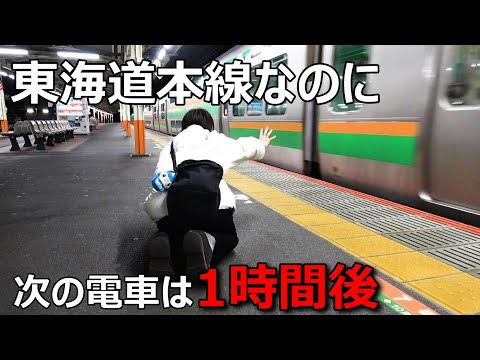 乗り遅れたら１時間以上待たされる東海道本線の駅がありました