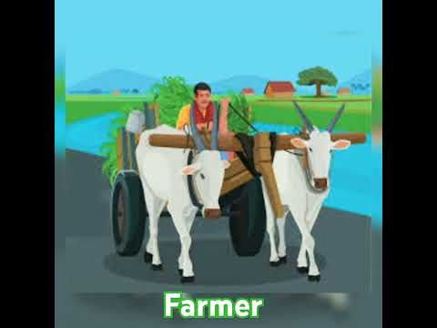 Farmer