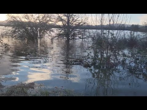 Flood waters leave several homeowners stranded near Creswell