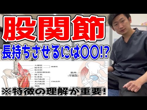 【重要】股関節をいつまでも長持ちさせる方法【#ハリボディTV】