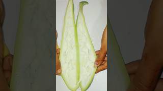 A beautiful fruit 💅💅🤪🤪 #shortvideo #fruitdishes #art #mangolover #fruitfood #themango