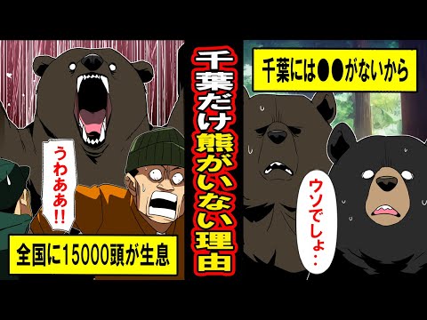 【実録】日本で千葉にだけクマがいない理由‥クマの不思議な生態と人間を襲う理由とは