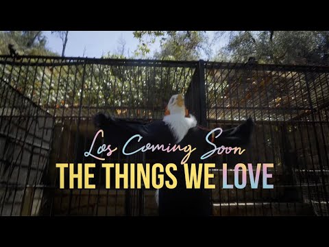 Los Coming Soon - The Things We Love❤️   (Official Video)