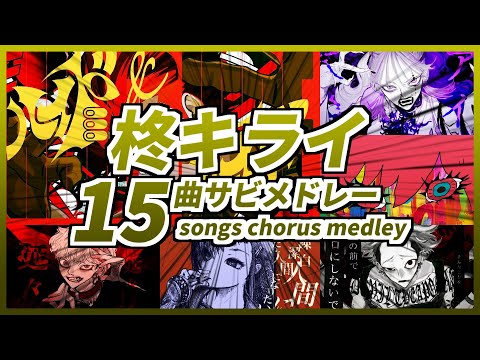 【作業用ボカロ】柊キライ／最新曲含め全15曲／サビメドレー【高音質・高画質】