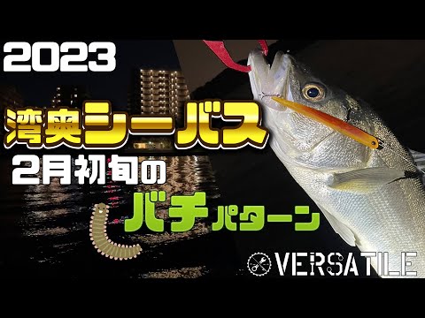 東京湾奥バチ抜けシーバス2023！2月最初の後中潮