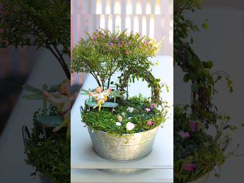 miniature/Fairy garden ideas#fairygarden#diyminiaturegarden#zerobudgetfairygarden