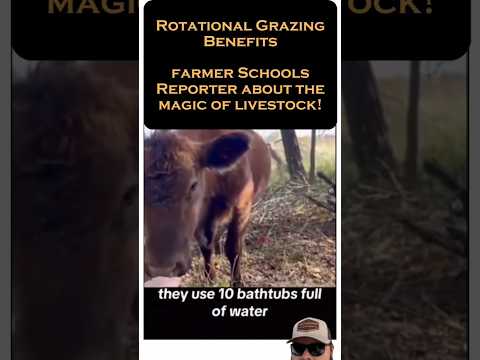 Farmer SCHOOLS Reporter Joel Salatin Style!