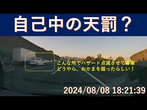 木曜日の不埒なやつら