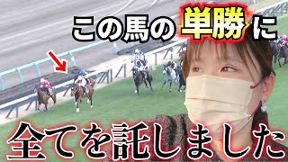 【2024秋ファイナル前編】土曜日に勝った分を有馬記念の勝負額に上乗せ！！有馬記念で大勝負するためには絶対に負けられない、、、