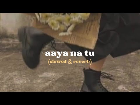 aaya na tu | (slowed & reverb)🫰🏻