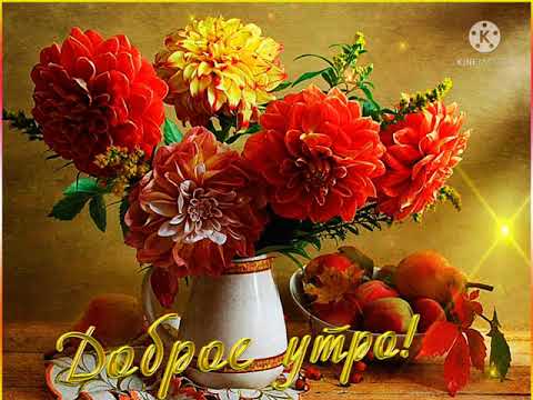 Доброго осеннего утречка! 🍁🍁🍁 Отличного настроения! 🌹🌹🌹😘😘😘