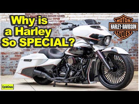 Why is a Harley Davidson So SPECIAL?