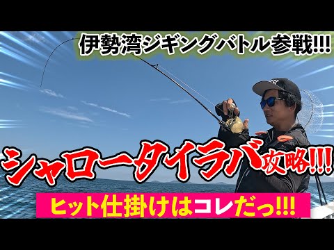 真夏のシャローエリアのタイラバに挑戦！！！