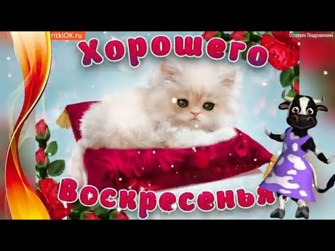 С добрым Утром! Прекрасного Воскресенья! Красивая Музыкальная открытка!