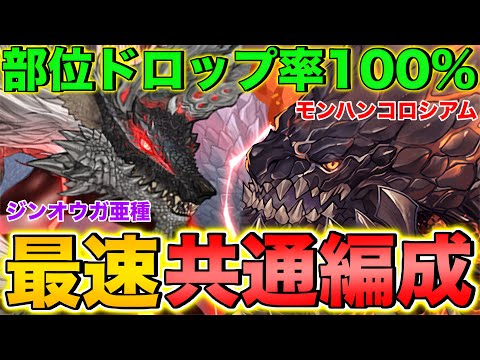 【共通編成】ジンオウガ亜種降臨&モンハンコロシアム共通編成！それぞれ1分台と2分台で超高速周回！まだ武器を交換できてない人は絶対見て！【パズドラ】