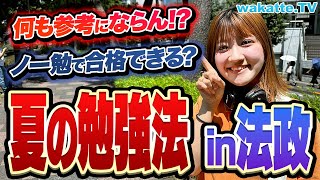 【受験生は観るな】参考にならないけど！法政生に夏の勉強法を聞いたらヤバすぎた【wakatte TV】#916