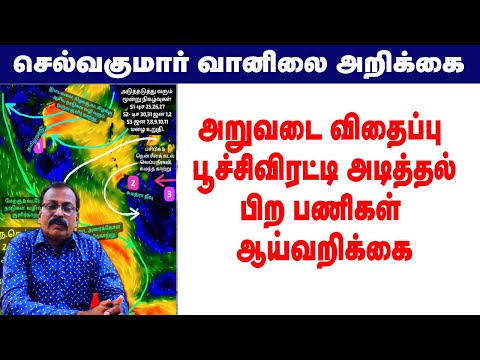 அறுவடை விதைப்பு பூச்சிவிரட்டி அடித்தல்.பிற பணிகள் 24.12.2024-4AM ஆய்வறிக்கை #tamil_weather_news