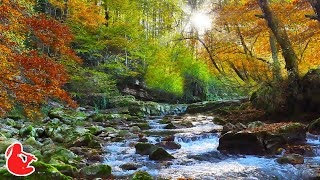 Native American Flute Music and Nature Sounds - Deep Sleep, Anxiety Relief, Meditation, Relaxation