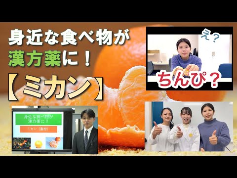 身近な食べ物が漢方薬に！【ミカン】