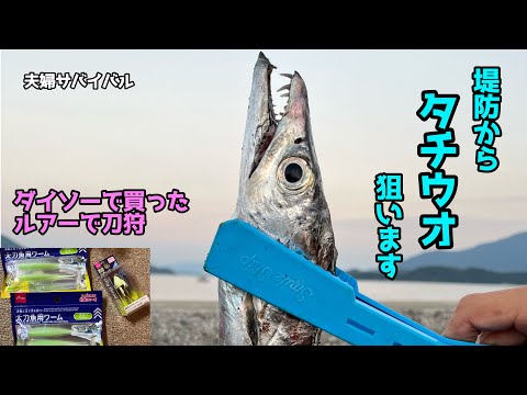 【天草釣り】堤防からダイソーで買ったルアーでタチウオを狙います。