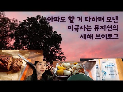 [미국생활] 뮤지션 브이로그 - 코로나 셀프 검사하고 각종 음식 투고해서 먹은 날들 , 오랜만에 간 학교