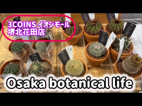 🍃Osaka botanical life🍃３COINSイオンモール堺北花田店に行ってきました💗