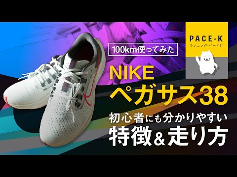 《さすがベストセラー》 初心者にも分かりやすい「ペガサス38」高性能の解説レビュー