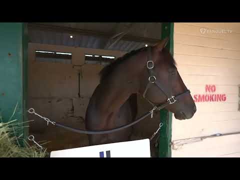 Breeders' Cup Contender- STRAIGHT NO CHASER