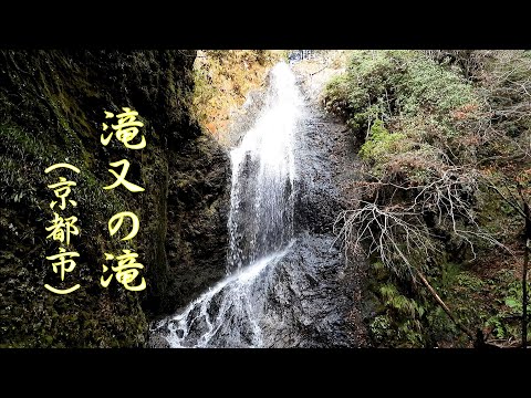 散策　京都・滝又の滝