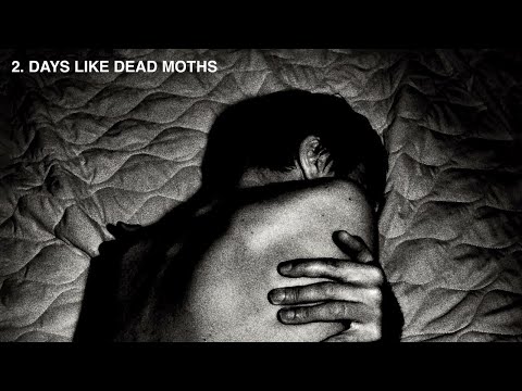 Suede - Days Like Dead Moths (Official Audio)