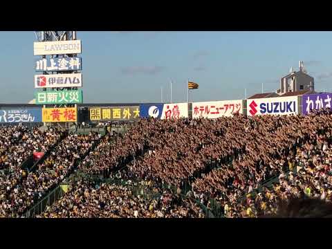 ロッテ甲子園応援 初回フル 最強パシフィカン 奨吾ヒットなど