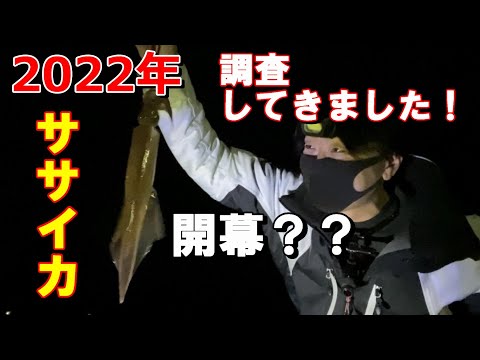 ササイカ調査行ってきました！果たして結果は！？【27釣目】