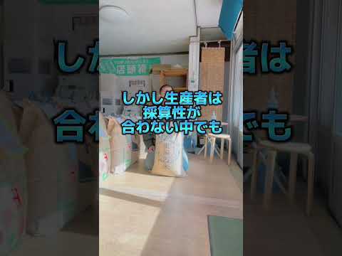 岐阜市 お米 美味しいお米屋さん　伊万里深山米が入荷されました　#shorts