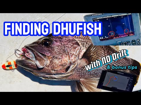 Finding WA Dhu Fish with NO Drift & Tips