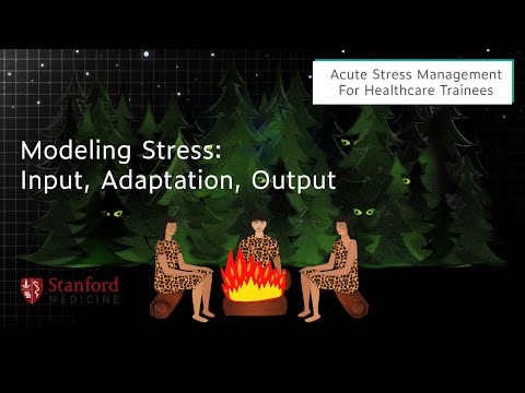 Modeling Stress: Input, Output, Adaptation – Acute Stress Management for Healthcare Trainees Part 4