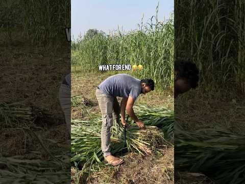 English पी के English 😂😂 #funny #jhatpat #comedymovies #jhatke #funnycomedy #farming #sonu #comedy