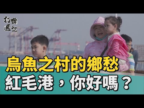 打狗週記 | 烏魚之鄉：紅毛港，好久不見