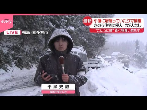 【中継】民家に侵入…小屋に居座っていたクマ捕獲される  福島・喜多方市