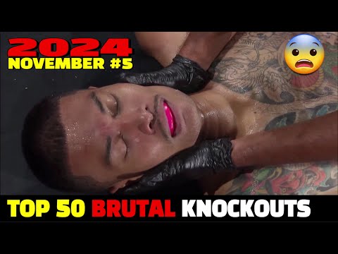 Top 50 Brutal Knockouts November 2024 #5 (MMA•Muay Thai•Boxing•Kickboxing)