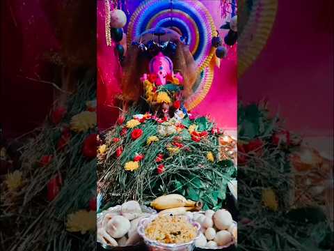 వినాయక చవితి శుభాకాంక్షలు 🙏💐😊 ||#ganeshchathurdhi  ||#shorts ||#scubecookingvlogs  ||#shortsfeed