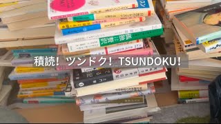 積読の山をのぞいていきませんか。【読書vlog/積読本紹介】