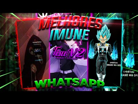 🔥 3 MELHORES WHATSAPP IMUNES PRIMÁRIO - 100% ANTITRAVA, IMUNE A TODAS AS TRAVA ATUAIS ( DOWNLOAD ) 🔥