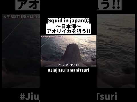 イカが釣りたくて③The squid hunter in japan!! #shorts #fishing #japanfishing #釣り #fishinglife #enjoybjjlife