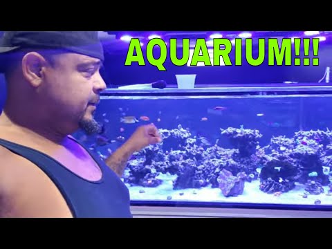 Aquarium