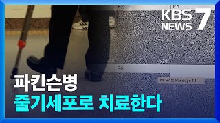 파킨슨병, 줄기세포 치료 길 열렸다 / KBS  2023.03.17.