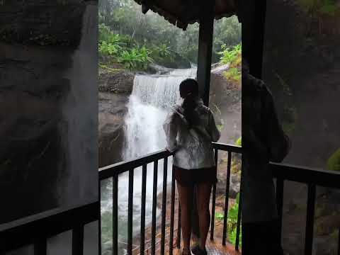 📍Kannur #viralvideo #travel #waterfall #nature #shorts